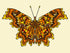 Painted Lady - Print